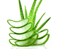 Aloe%20skin%20care%20button